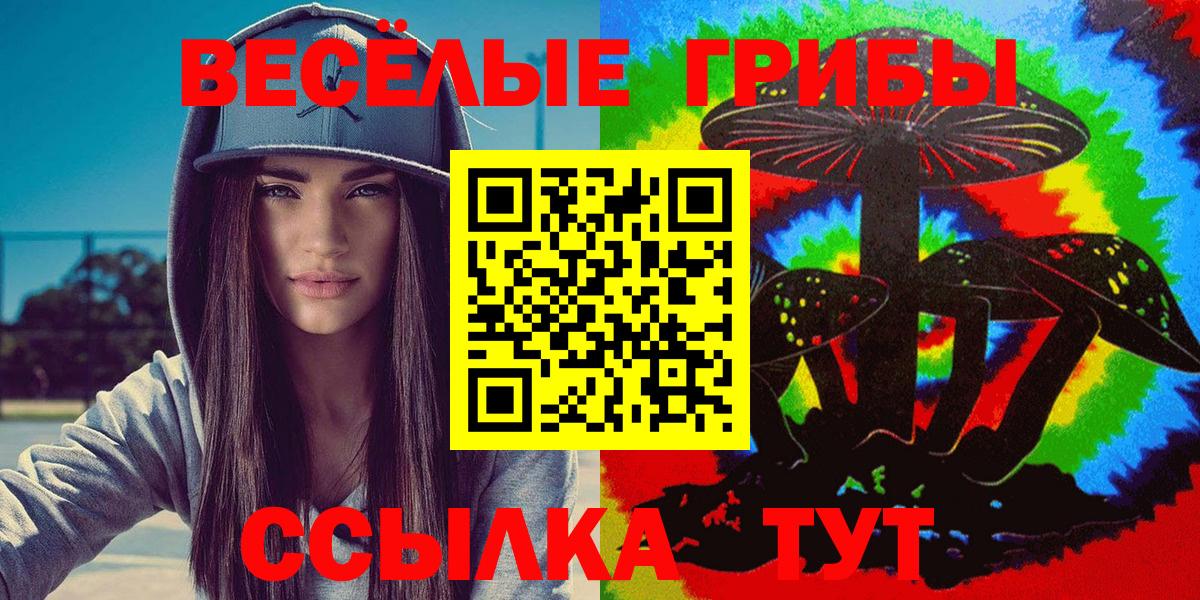 Псилоцибиновые грибы прущие грибы  Вход с VPN  купить наркотики цена  Новый Уренгой  Галлюциногенные грибы Psilocybe 