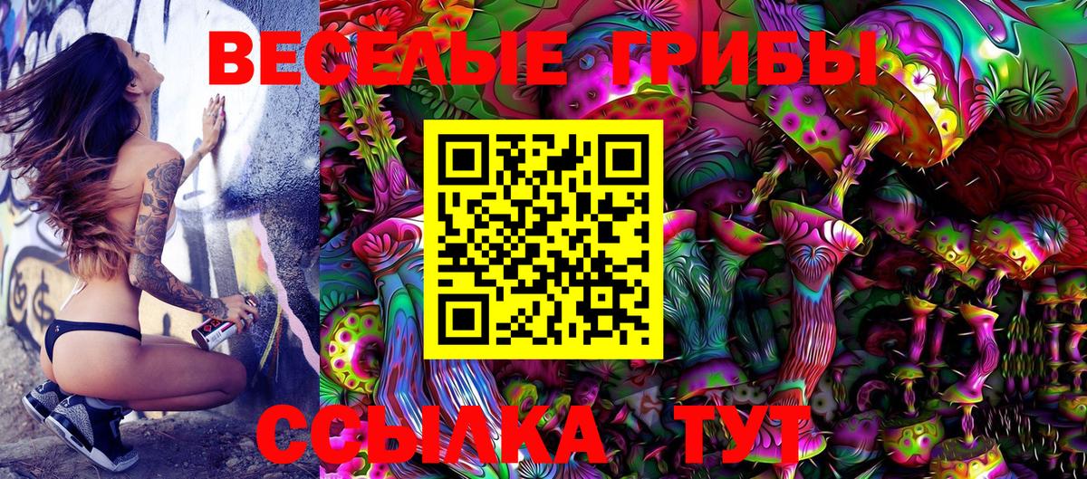 Галлюциногенные грибы GOLDEN TEACHER Новый Уренгой